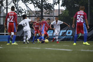 教练组将赴欧学习，引入现代理念，教练技术领袖风采